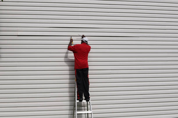 Best Engineered Wood Siding  in Mcnary, AZ
