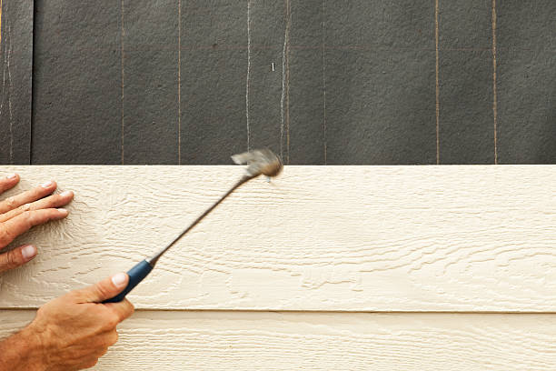 Affordable Siding Repair and Maintenance Services in Mcnary, AZ